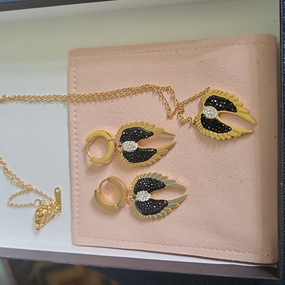 Necklace and earrings